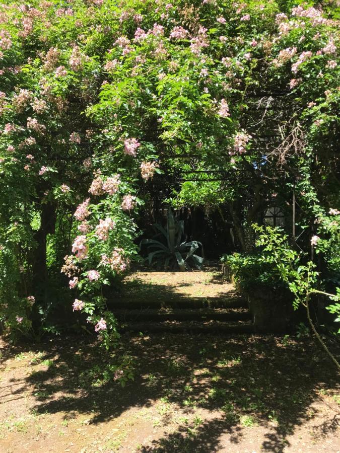 La Gallina Felice B&B Мета Экстерьер фото
