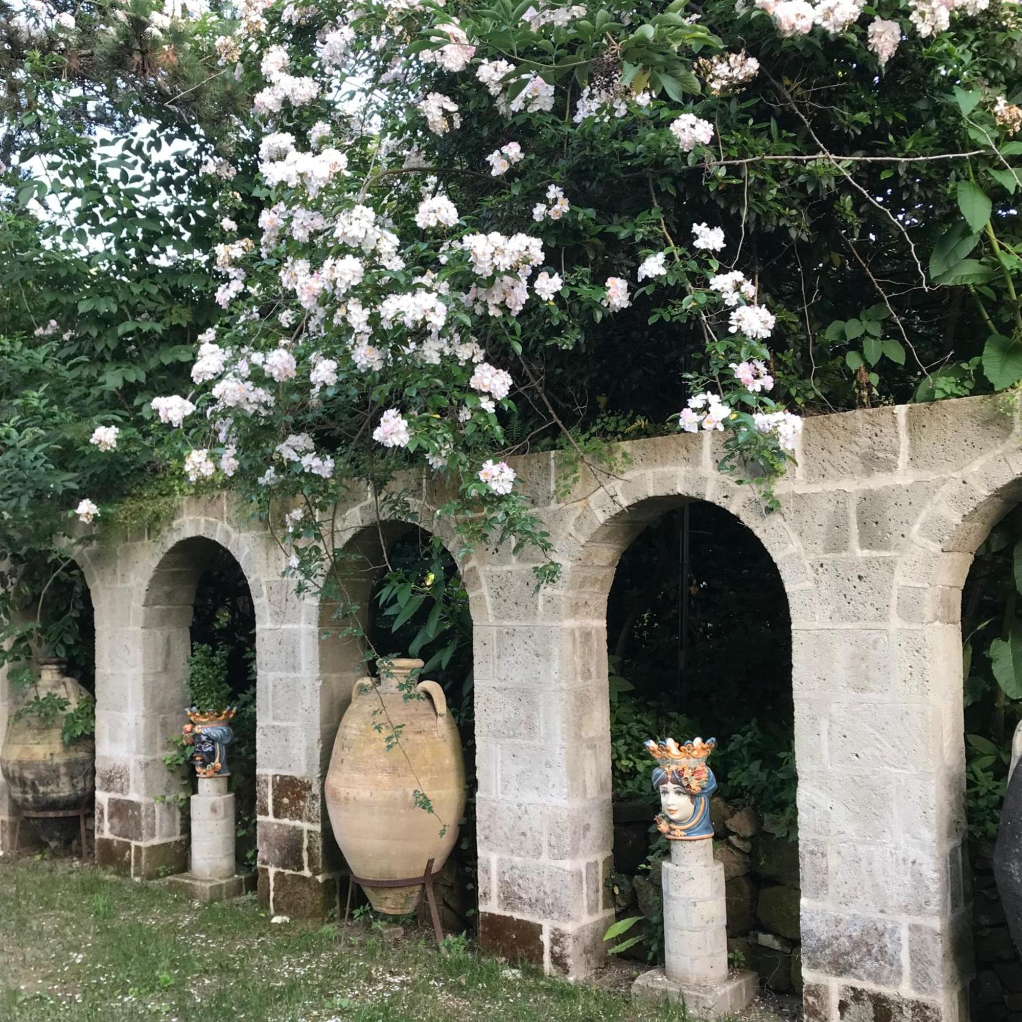 La Gallina Felice B&B Мета Экстерьер фото