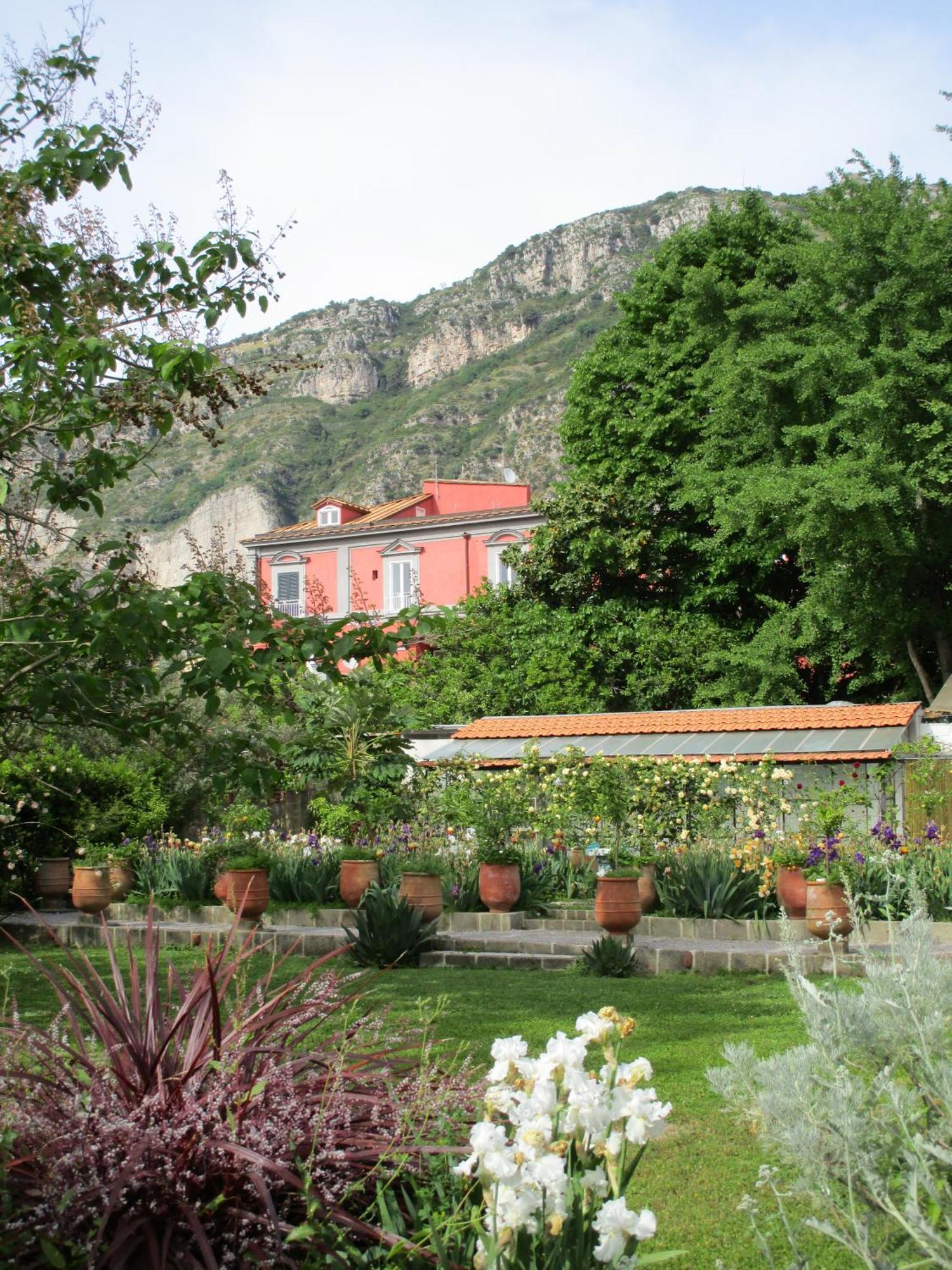 La Gallina Felice B&B Мета Экстерьер фото