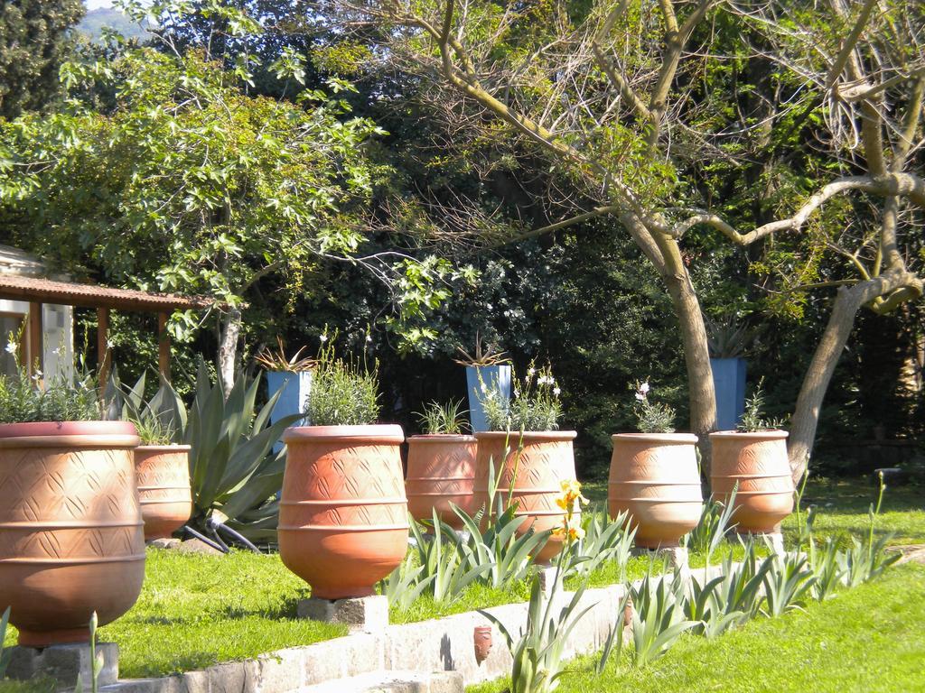 La Gallina Felice B&B Мета Экстерьер фото